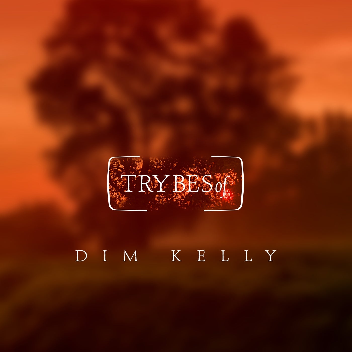 DIM KELLY – Bad Chlorure [TRY032B]